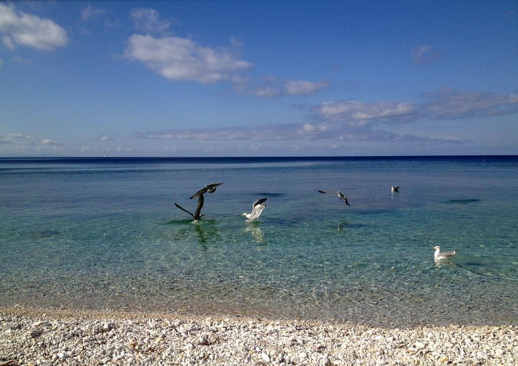 Appartamento Ponticello By Helloelba Portoferraio Εξωτερικό φωτογραφία